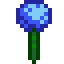 Blue Jazz