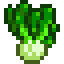 Bok Choy