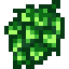 Hops