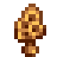 Morel
