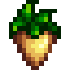 Parsnip