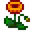 Poppy