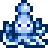 Squid