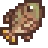 Tilapia
