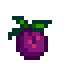 Wild Plum